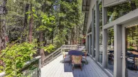 Ponderosa Pine Escape