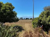Unique Redwood home built 1920 with hot tub & short walk to the Elk beach