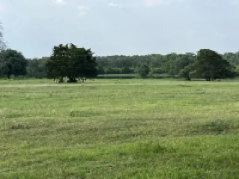 Amazing Secluded cottage under huge trees, on a working Ranch.