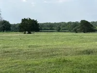 Amazing Secluded cottage under huge trees, on a working Ranch.