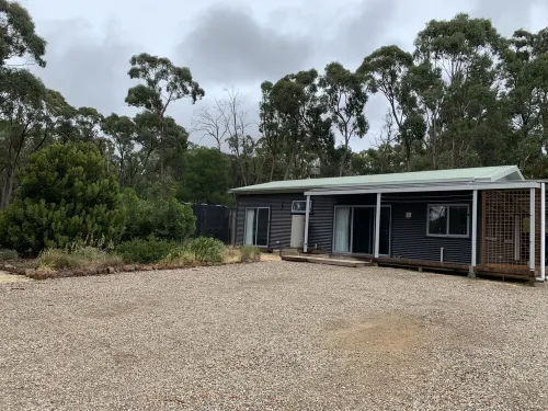地道叢林環境中的明亮寬敞小屋