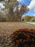 Private cabin located on 7 acres in the country