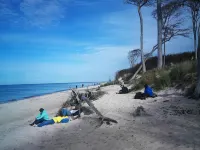 FW Directly at the Darßer Wald Prerow, Ideal for Dog Owners! Hotels in Prerow