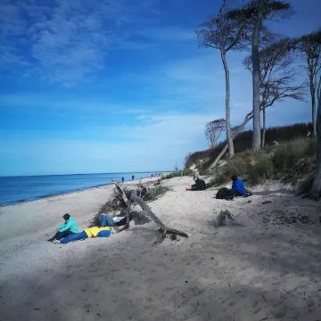 FW Directly at the Darßer Wald Prerow, Ideal for Dog Owners!