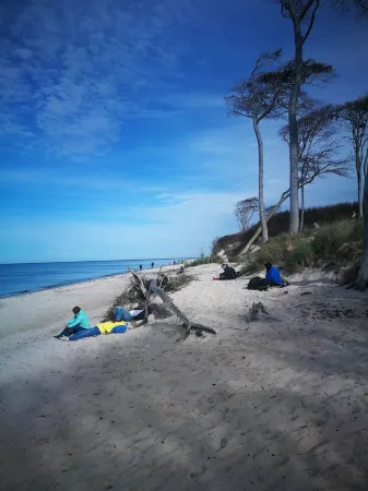 FW Directly at the Darßer Wald Prerow, Ideal for Dog Owners! Отели в г. Преров