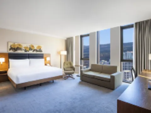 第比利斯希爾頓花園酒店 第比利斯酒店