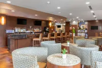 普萊諾弗里斯科坎普里亞飯店 - 酒吧