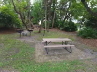 Comfy Island House Villa - Just a Walk to the Beach & Coligny