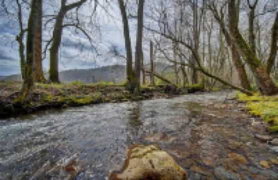 Creekfront Hayesville cottage with beautiful sunrise and sunset views!