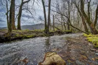 Creekfront Hayesville cottage with beautiful sunrise and sunset views!