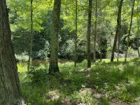 Beautiful log cabin on the Pendleton Creek!