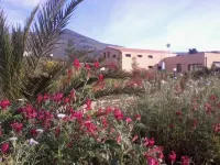 Seredipa Scopello / Guidaloca (TP) short tourist rental (quadruple)