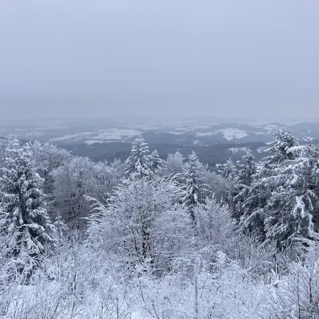 Fantastic Vacation Apartment "Waldhonig"