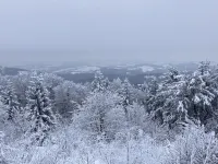 Fantastic Vacation Apartment "Waldhonig"