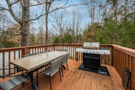 Fast Wifi Secluded Cabin Near Douglas Lake Отели рядом с достопримечательностью «Sims Point»