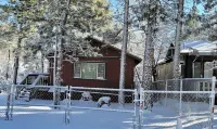 Cozy Cabin, 4 Beds-Dog friendly-15min Drive to to Ski Resort, Fenced yard
