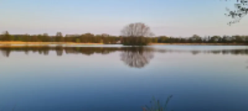 Attractive semi-detached house in a good location near the Spreewald Hotels in Vetschau