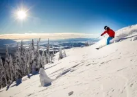 Montana Dreams Retreat - luxury in the Glacier/ Whitefish area