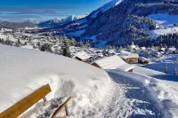 180-degree panoramic view, garage, internet, mountain railroads included Hotels in Oberstdorf
