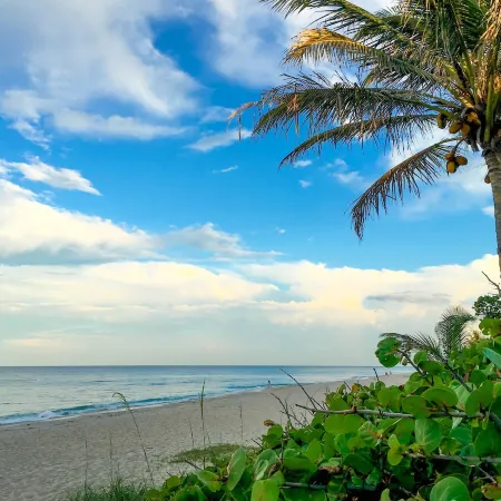 Surf Road Cottage Unit 1 - at the beach Отели рядом с достопримечательностью «Залив Бойнтон Бич»