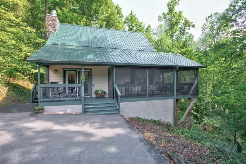 Cozy cabin with mtn view and an awesome media room in charming Townsend.