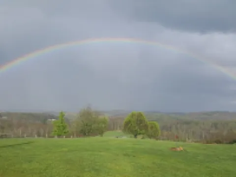 Fancy Gap Mountain Escape Hotels in Laurel Fork