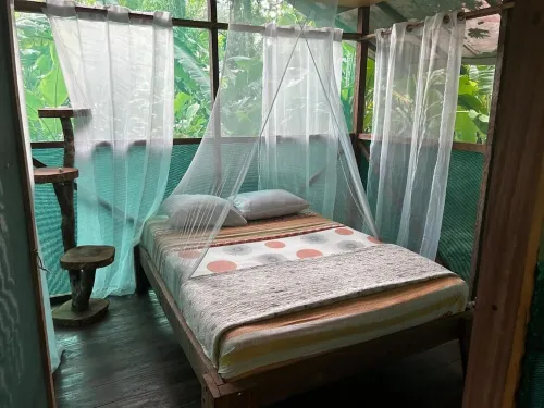 Rio Agujitas Eco Farm Hostel and Tours