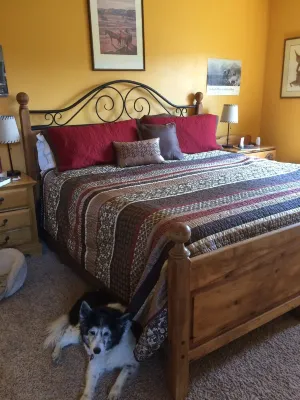 Enjoy Our New House In Historic Leadville, including your pets.
