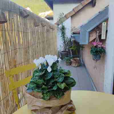 A welcoming studio in a quiet town center location Others