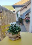 A welcoming studio in a quiet town center location