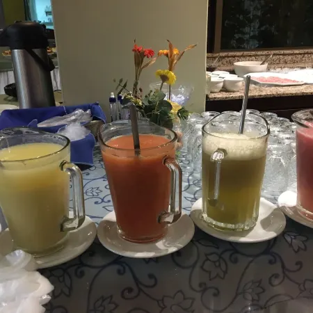 Pousada Dos Girassóis