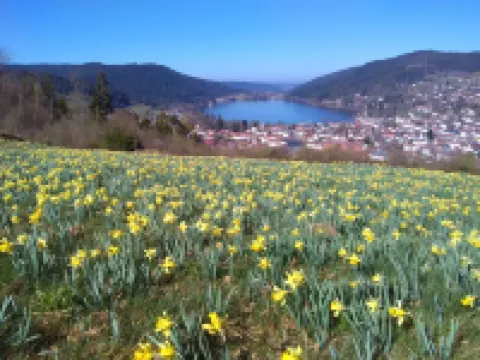 F3 DUPLEX GARDEN LEVEL WITH TERRACE