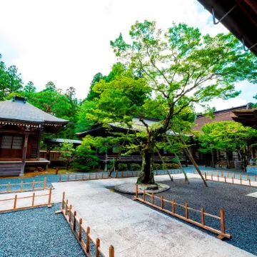 Koyasan Shukubo Ryusenin