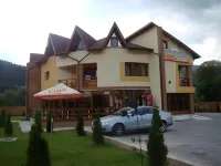 Pensiunea Floare de Colţ Hotels in 