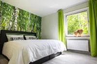 Vacation Home "Vier Jahreszeiten" - Apartment "Waldblick" Hotels in Bad Sachsa