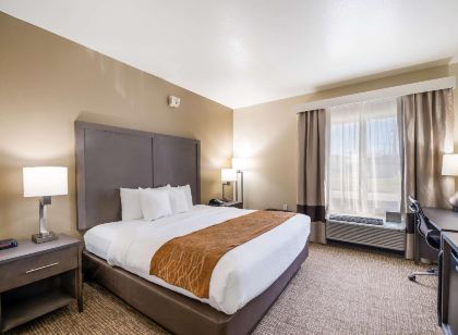 컴포트 인 보시에 시티 카지노 지역, 슈리브포트 다운타운 근처