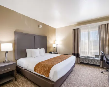 Comfort Inn Hotels in Bossier City