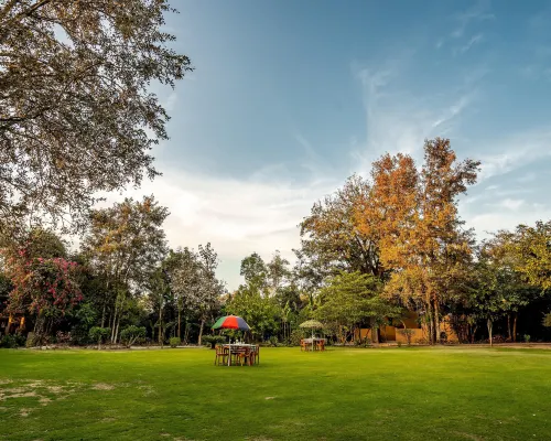 Mahua Vann Pench Hotels in Seoni