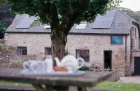 Allercott Farm Hotels near Nutcombe Bottom, Tall Trees Trail