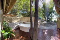 Ndhovu Safari Lodge Hôtels à : Mwitjiku