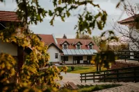 Kosbor Panzió Hotels in Nemesnép