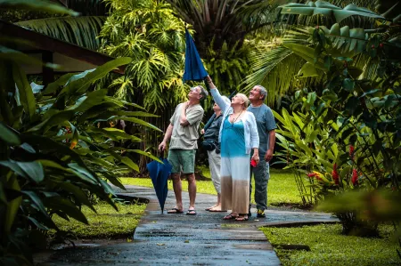 Laguna Lodge Full Board