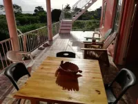 Coral Turtle Hotels in Duncans