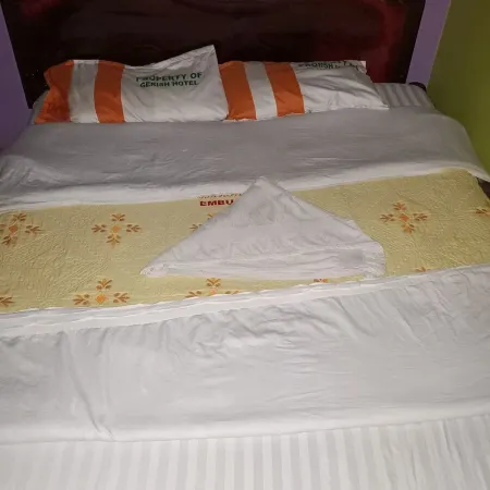 Gerish Hotel Отели в г. Эмбу