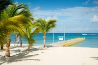 Allegro Cozumel All-Inclusive - Beach