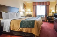 Quality Inn Hotels in Corrales