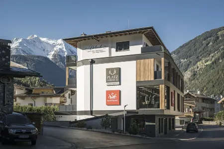 Platzhirsch Apart & Mayrhofen Отели в г. Гемайнде Майрхофен