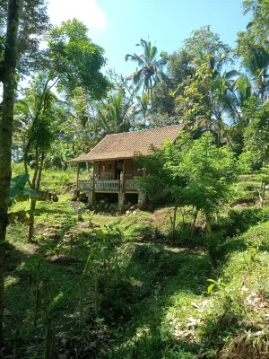 Duegoal Farmhouse Hotel dekat Stockist NASA DK.1503 PENEBEL TABANAN