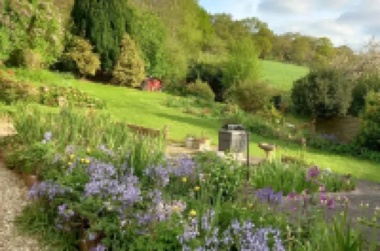 Cosy Axminster Studio with Extra Beds