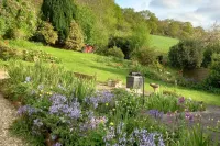 Cosy Axminster Studio with Extra Beds Hotels in Dalwood